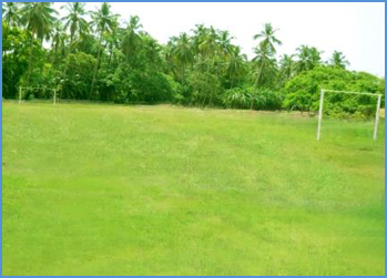 football ground.jpg